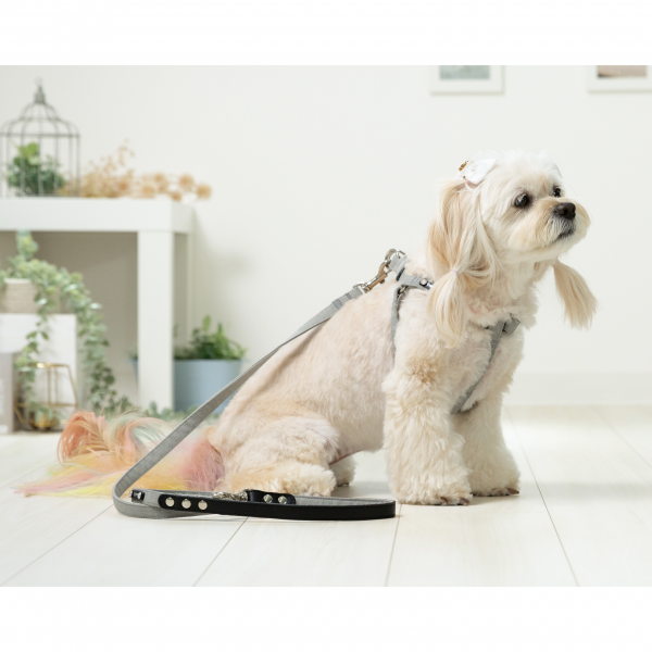 Toto&Pal(トトパル)　ソフトリード グレー ※足入れハーネスは別売り