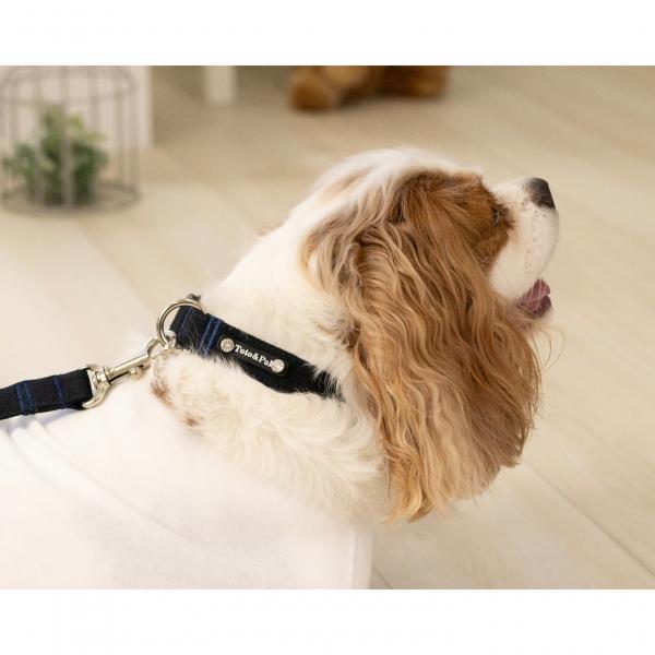 Toto&Pal(トトパル)　ソフトカラー ネイビー