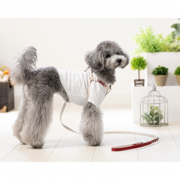 Toto&Pal(トトパル)　ソフト足入れハーネス アイボリー ※リードは別売り