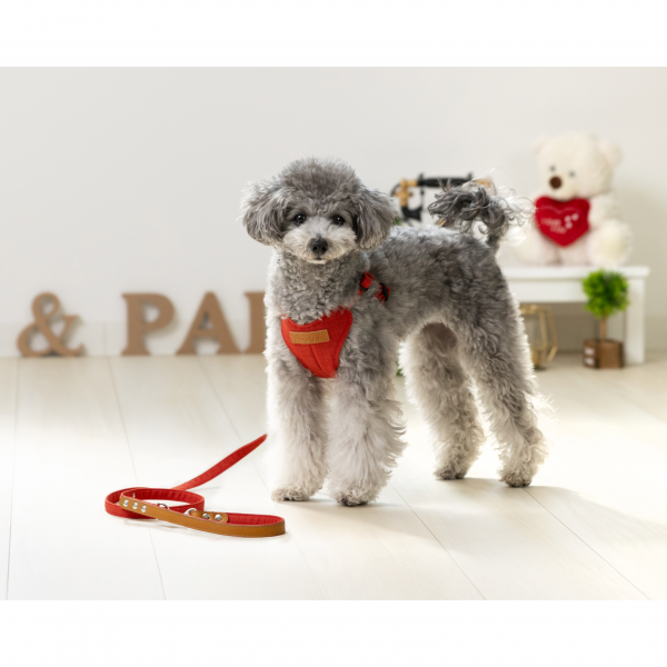 Toto&Pal（トトパル）　ソフトフィットハーネス レンガ