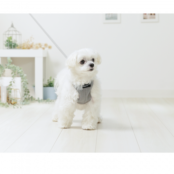 Toto&Pal（トトパル）　ソフトフィットハーネス グレー
