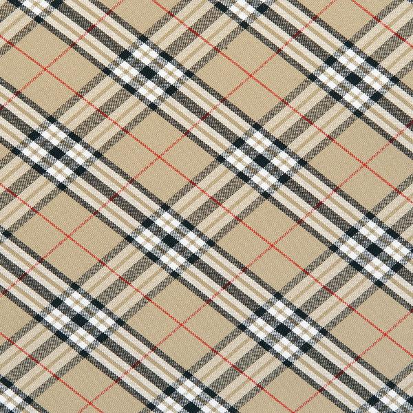 Toto＆Pal（トトパル）　ロイヤルタータン猫用ハーネス ベージュ