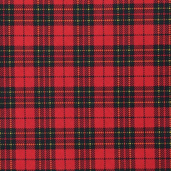 Toto＆Pal（トトパル）　ロイヤルタータン猫用ハーネス レッド