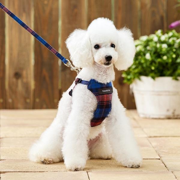 Toto＆Pal（トトパル）　ウォームチェックフィットハーネス ネイビー※リードは別売りです。