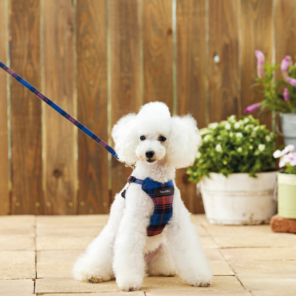 Toto＆Pal（トトパル）ウォームチェックリード ネイビー（ハーネスは商品に含まれません）