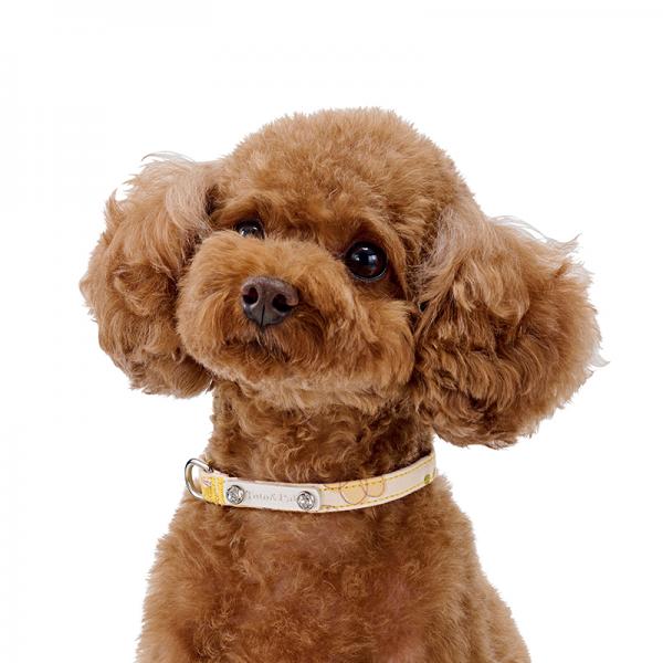 Toto&Pal(トトパル）　フルリールカラー イエロー