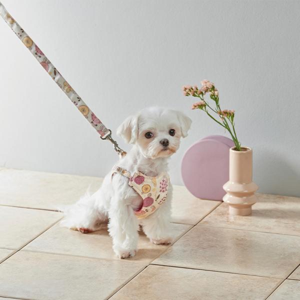 Toto&Pal(トトパル）フルリールリード ピンク　※ハーネスは別売りです。