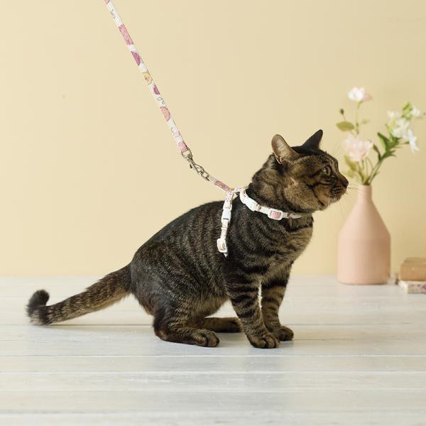 Toto&Pal(トトパル）フルリールリード ピンク※ハーネスは別売りです。