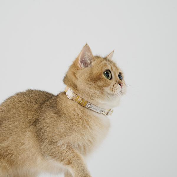 Toto＆Pal（トトパル）フルリール猫用カラー イエロー