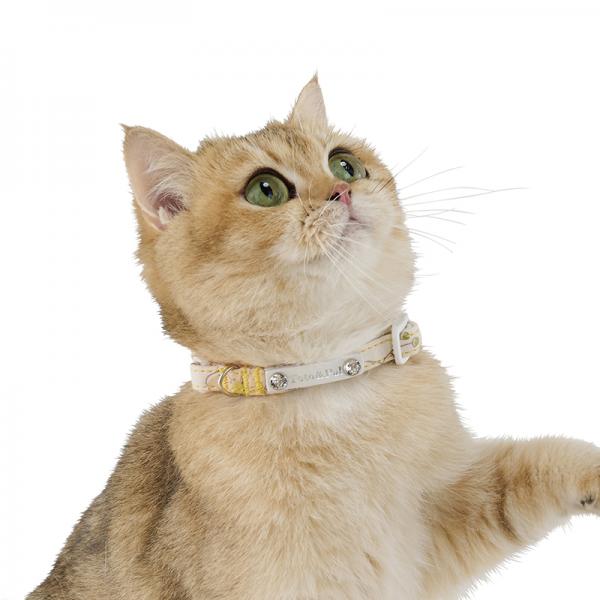 Toto＆Pal（トトパル）フルリール猫用カラー イエロー