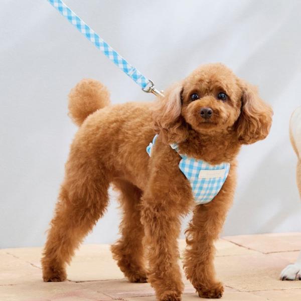 マンチェスタークールハーネス ブルー ※リードは別売りです。