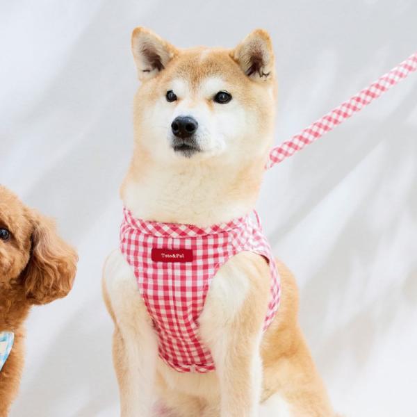 Toto＆Pal（トトパル）マンチェスターボディーハーネス ピーチ ※リードは別売りです。