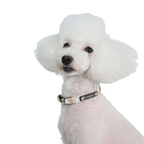 Toto＆Pal（トトパル）マンチェスターカラー ラテ