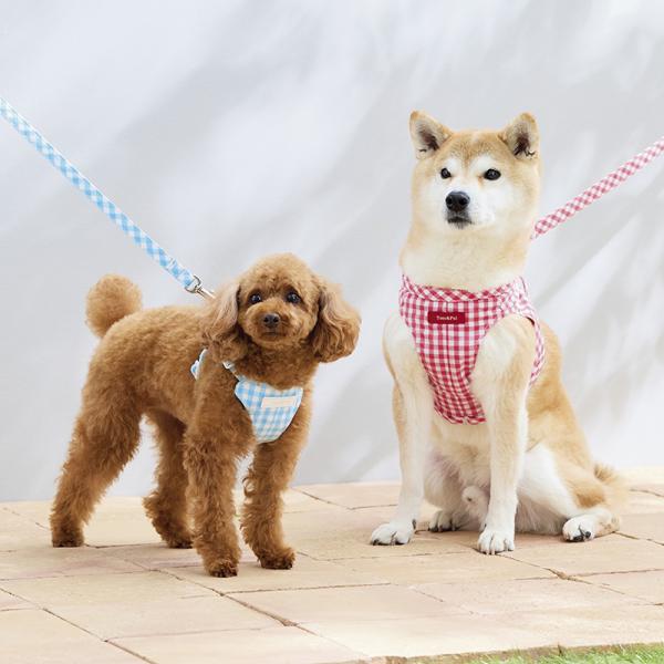 Toto＆Pal（トトパル）マンチェスターリード 左：ブルー/右：ピーチ ※ハーネスは別売りです。