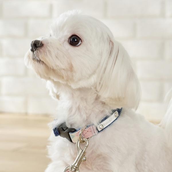 Toto＆Pal（トトパル）　デニムカラー・セミオーダー 柄：ダイヤモンドチェック・幅1.5cm ・ワッペン：白/リードは別売りです。