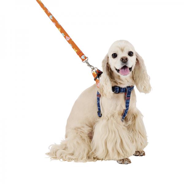Toto＆Pal（トトパル）デニムハーネス・セミオーダー リードは別売りでございます。