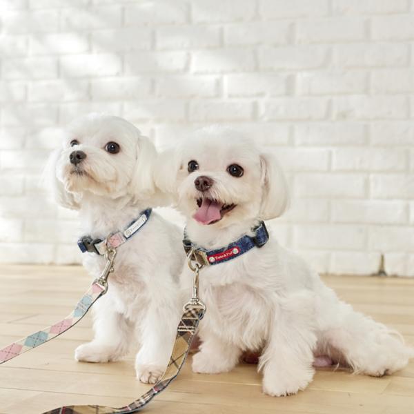 Toto＆Pal（トトパル）デニムリード・セミオーダー 左：ダイヤモンドチェック ・ 白・幅 1.5cm/右：コールベージュ・赤・幅2.0cm/カラーは別売りです。