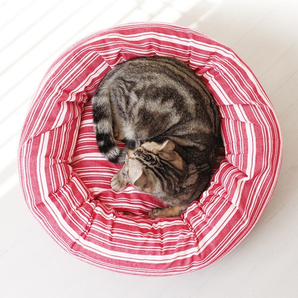 さわやかコットン ベーグルベッド（旧：さわやかマリンベーグルベッド） S・レッド