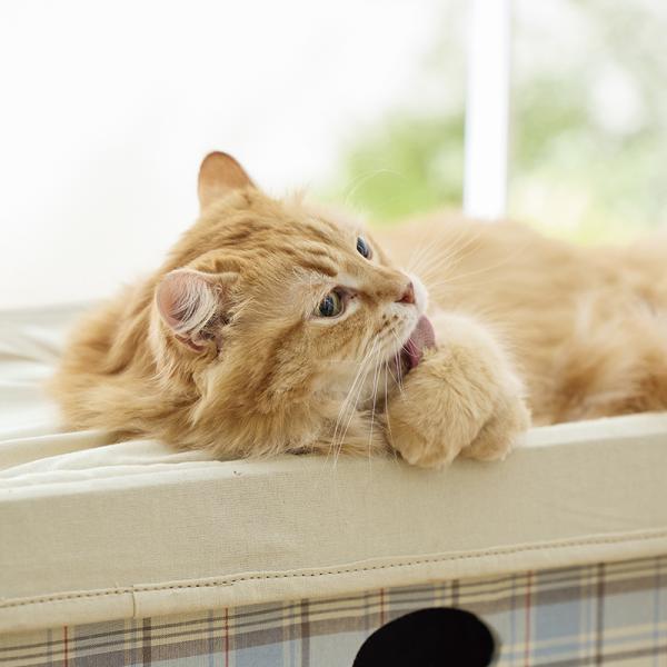 さわやかコットン２階建ハンモックベッド（旧：さわやかマリン２階建ハンモックベッド M・マルチチェック