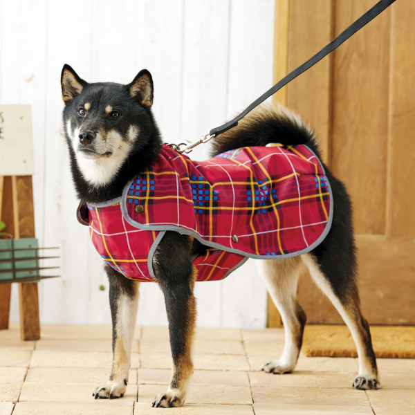 2025年モデル【PEPPY　LIFE】らくちんレインコート レッドチェック