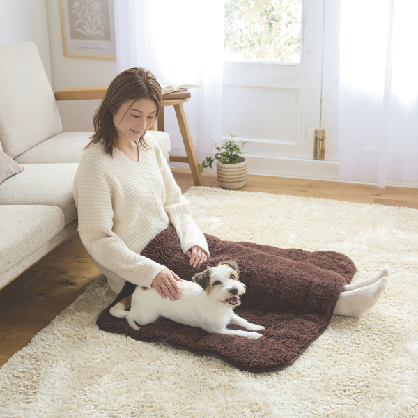 ふんわりぬくぬくブランケット Sサイズ