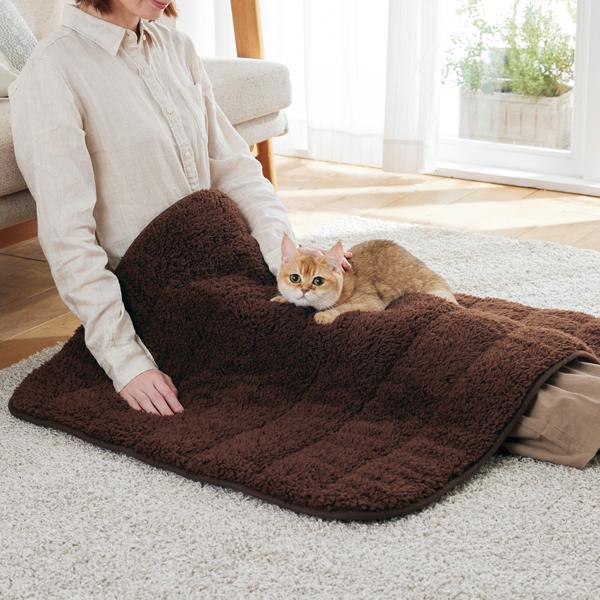 ふんわりぬくぬくブランケット 