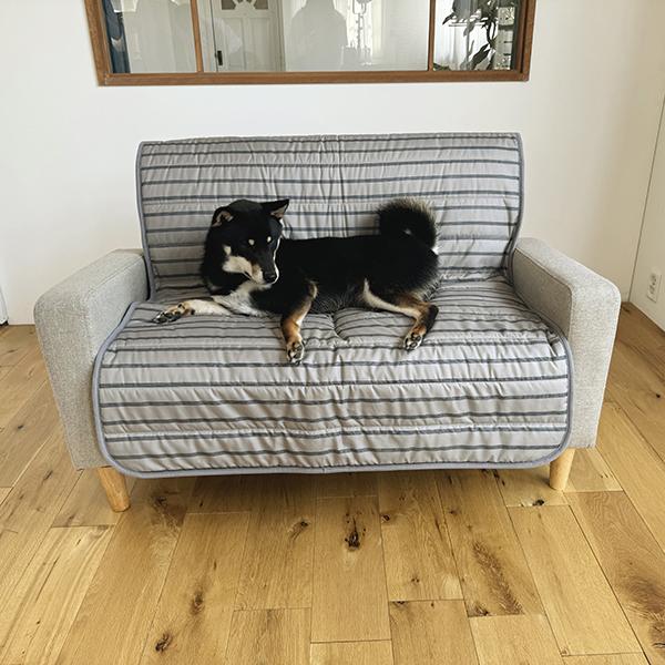 コットン＆抜け毛が刺さらない生地　リバーシブルブランケット M・グレー