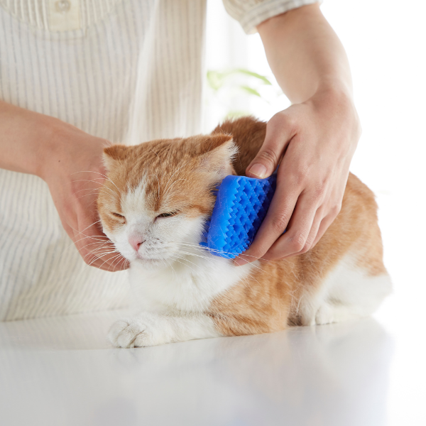 ペットアンドミー（シリコンブラシ） 