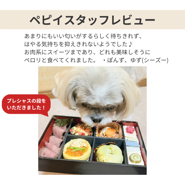 キッチンドッグ！おせちデリ２０２６【予約商品12月27日お届け】 