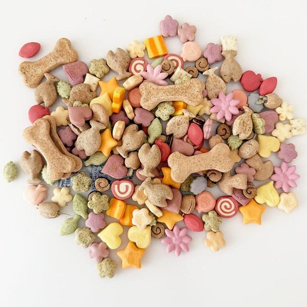 キッチンドッグ！春夏ビスケット２０２６ オールスターズ