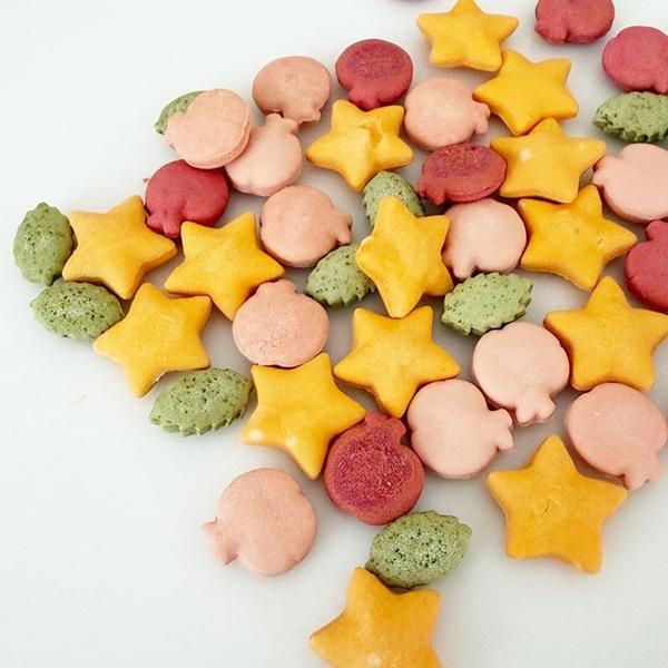 キッチンドッグ！春夏ビスケット２０２６ Ｏｒｃｈａｒｄ　Ｈａｒｖｅｓｔ　太陽の息吹