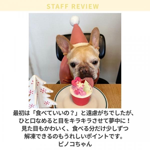 キッチンドッグ！クリスマス【予約商品12月21日お届け】 