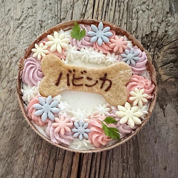 キッチンドッグ！ ブリス（至福のケーキ） 