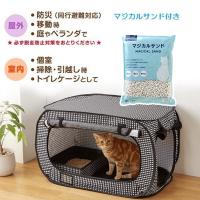 猫壱ポータブル　マジカルサンド付き
