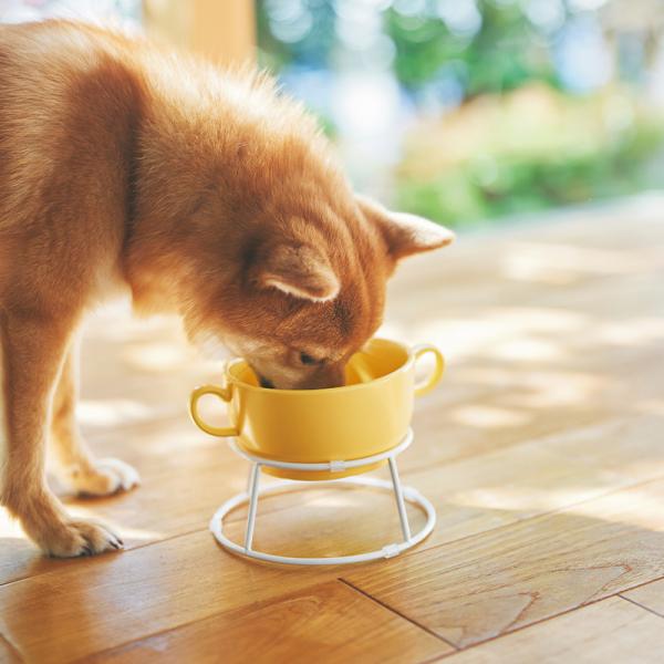 プチクール フードボウル 専用スタンドは別売です。