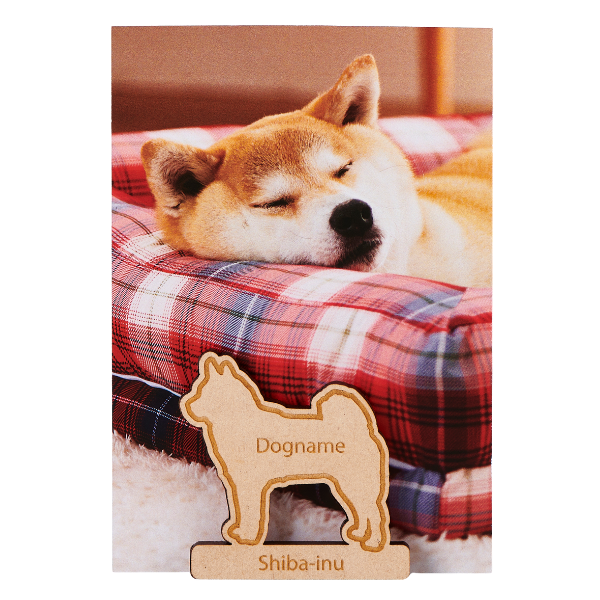 ネーム入り ペアマグネット 