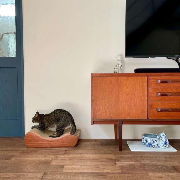 ごろん猫の爪とぎ　ナチュラル 木目調 裏面  モニターさま