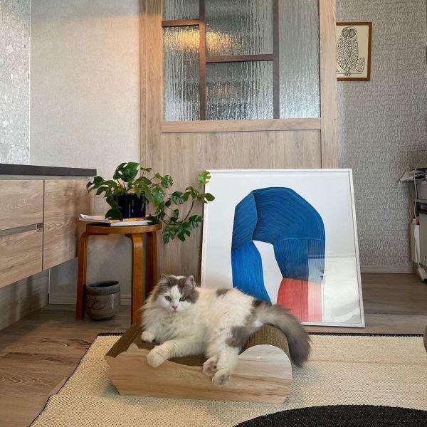 ごろん猫の爪とぎ　ナチュラル 木目調 モニターさま