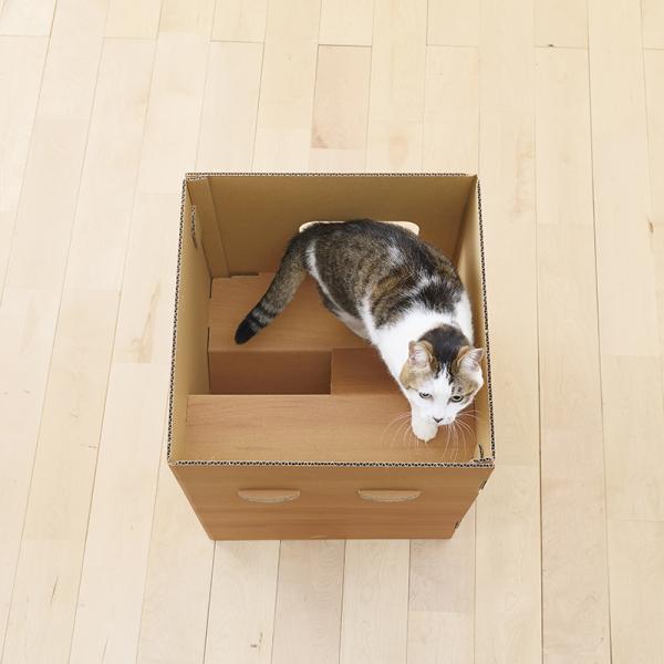 普通のダンボールより楽しいダンボールの小屋 