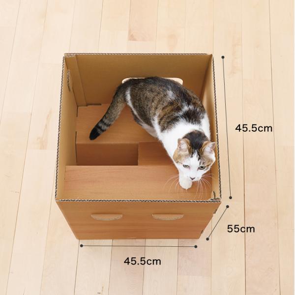 普通のダンボールより楽しいダンボールの小屋 くるっと登れる階段