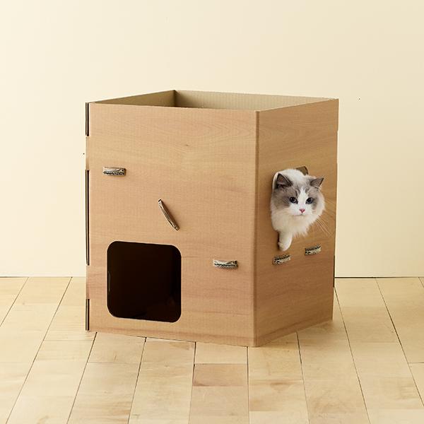 普通のダンボールより楽しいダンボールの小屋 こんにちは！