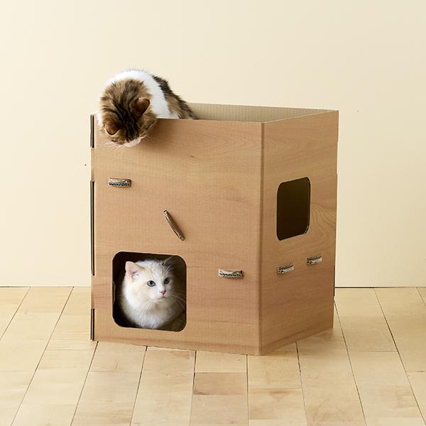 普通のダンボールより楽しいダンボールの小屋 ルームシェア？？