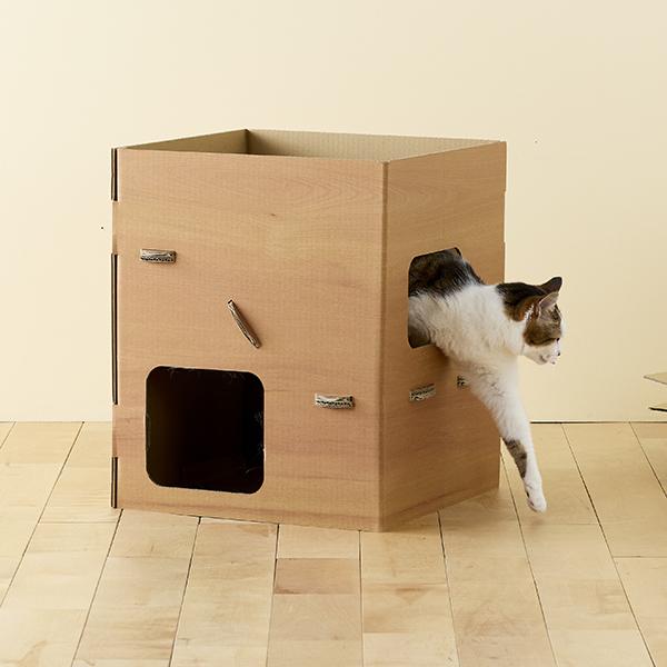 普通のダンボールより楽しいダンボールの小屋 にょ〜ん