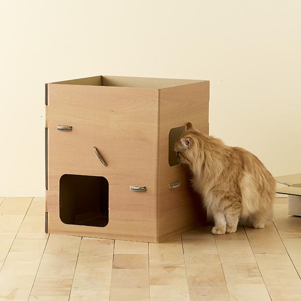 【募金付き】普通のダンボールより楽しいダンボールの小屋 内覧にきました〜