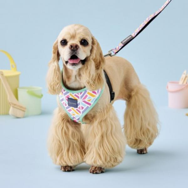 【FuzzYard】ファズヤード　ソフトハーネス バブルカムバースト　※リードは別売です