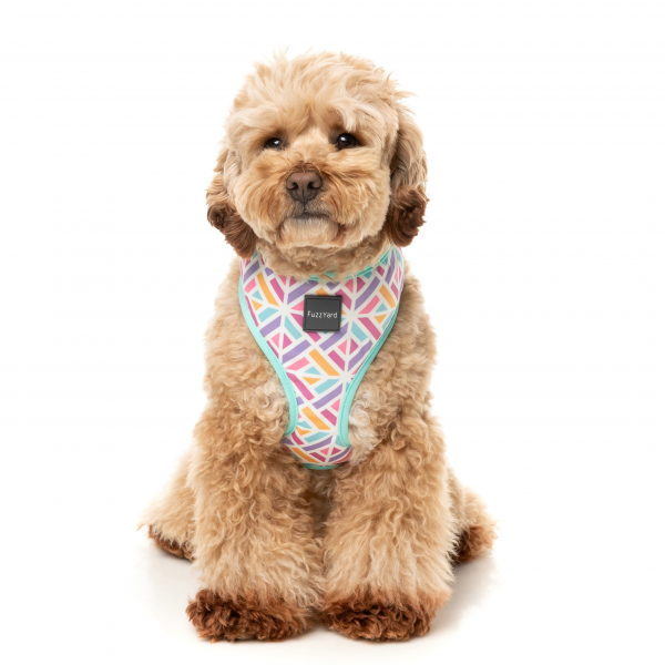 【FuzzYard】ファズヤード　ソフトハーネス バブルカムバースト