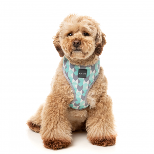 【FuzzYard】ファズヤード　ソフトハーネス ミントフィズ