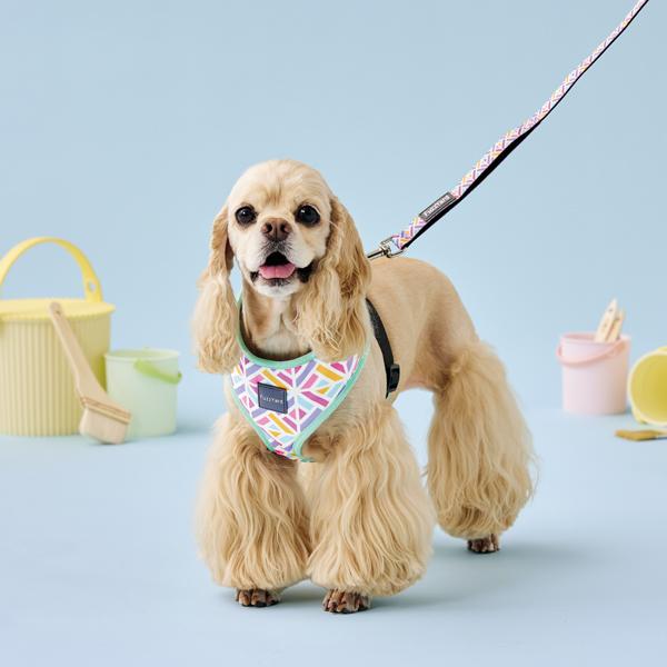 【FuzzYard】ファズヤード　リード バブルカムバースト※ハーネスは別売りです。