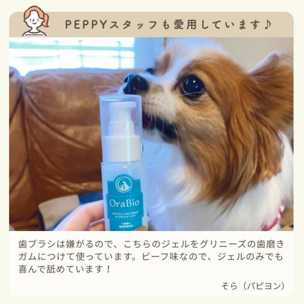 オーラバイオペースト 
