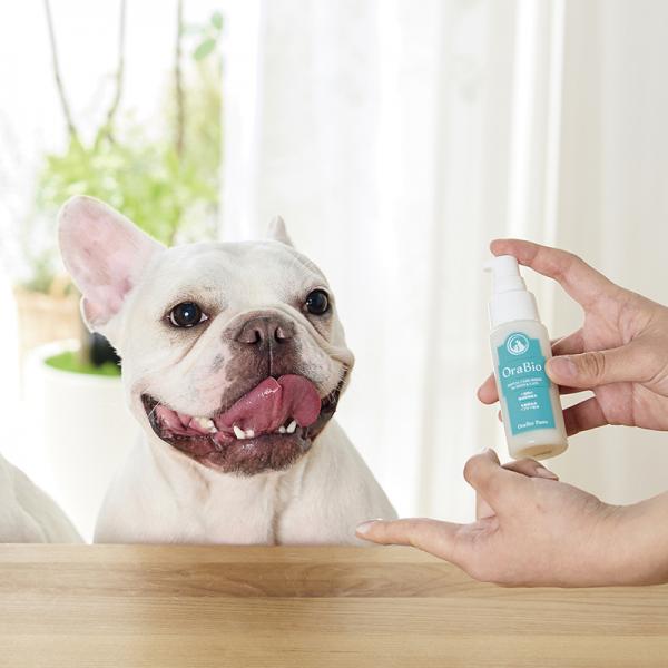 オーラバイオペースト 